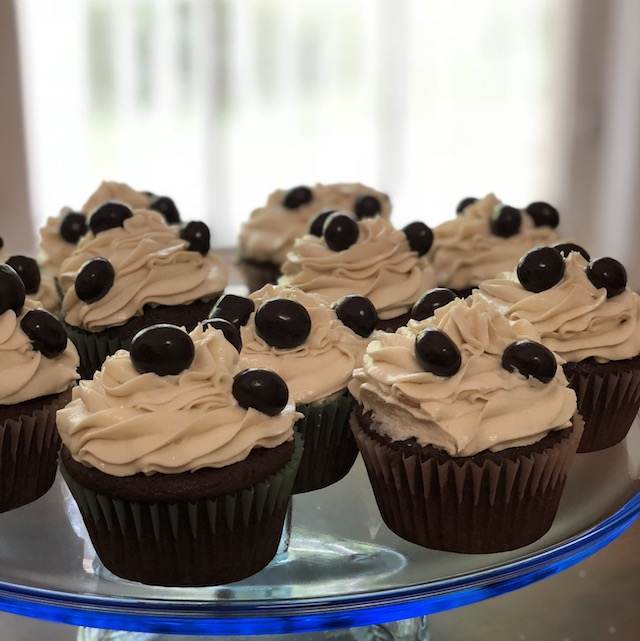 A plate of chocolate coconut cupcakes with coffee cream icing decorated with chocolate covered expresso beans.